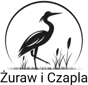 Żuraw i Czapla
